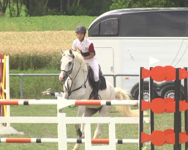 Reitturnier Herrenberg-Gültstein 2017