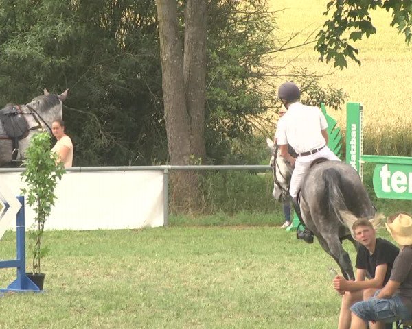 Reitturnier Herrenberg-Gültstein 2017