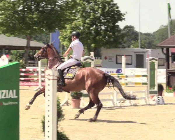 Reitturnier Münster-Roxel 2017