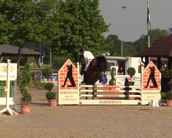 Reitturnier Münster-Roxel 2017