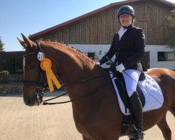 dressage horse Daiquiri Speciale (Hanoverian, 2011, from Danone 4)