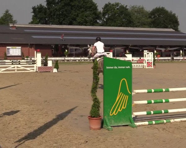 Reitturnier Münster-Roxel 2017