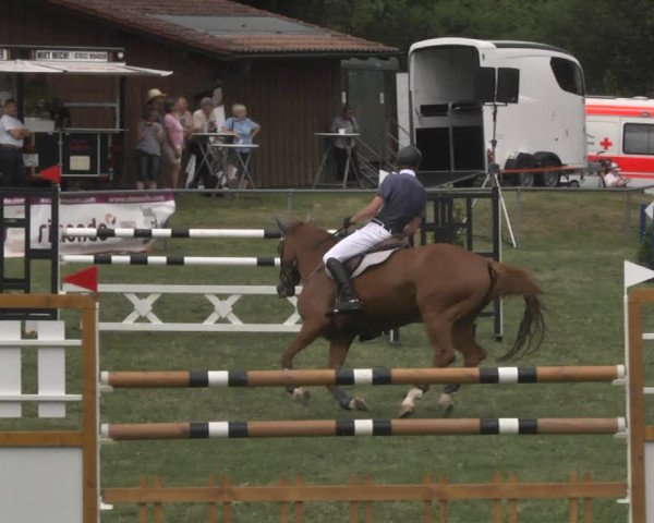 Reitturnier Herrenberg-Gültstein 2017