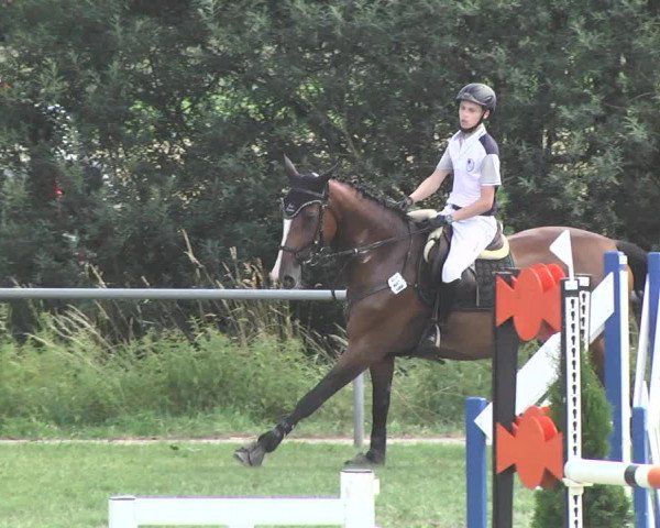 Reitturnier Herrenberg-Gültstein 2017