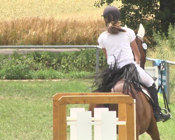 Reitturnier Herrenberg-Gültstein 2017