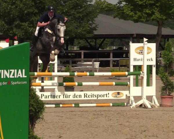 Reitturnier Münster-Roxel 2017