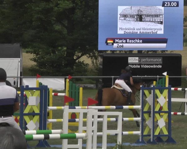 Reitturnier Herrenberg-Gültstein 2017