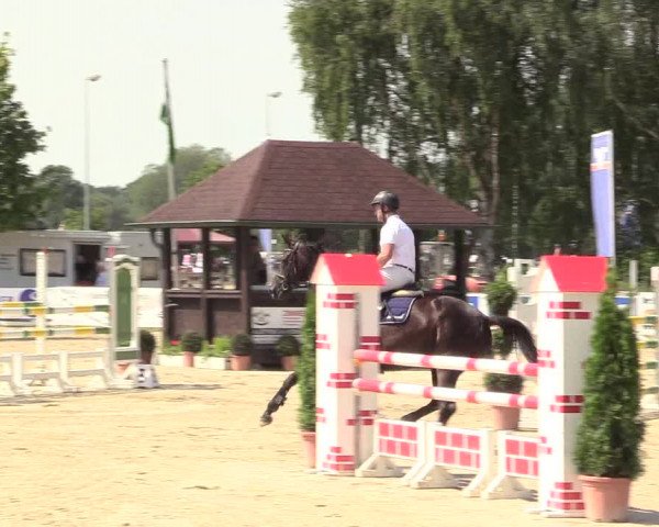 Reitturnier Münster-Roxel 2017