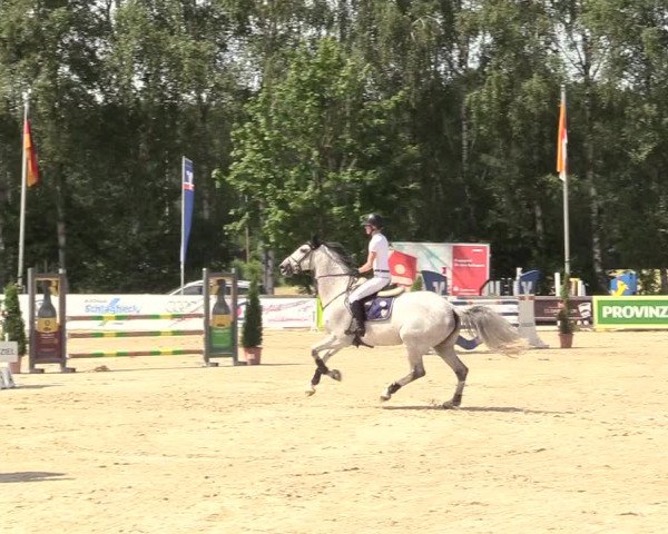 Reitturnier Münster-Roxel 2017