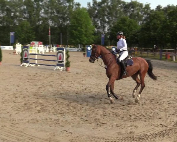 Reitturnier Münster-Roxel 2017