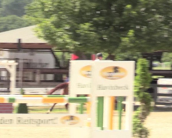 Reitturnier Münster-Roxel 2017