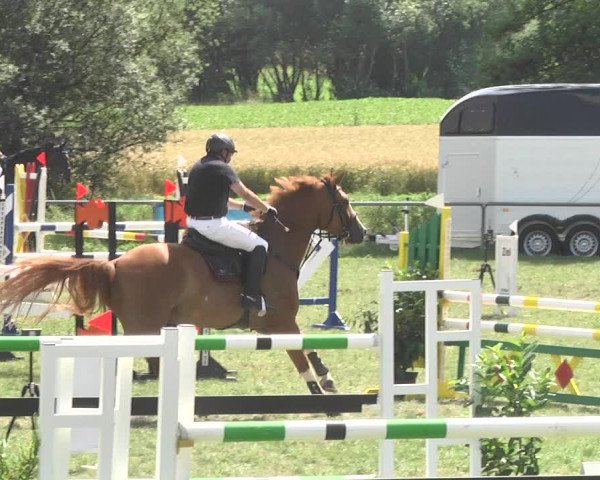 Reitturnier Herrenberg-Gültstein 2017