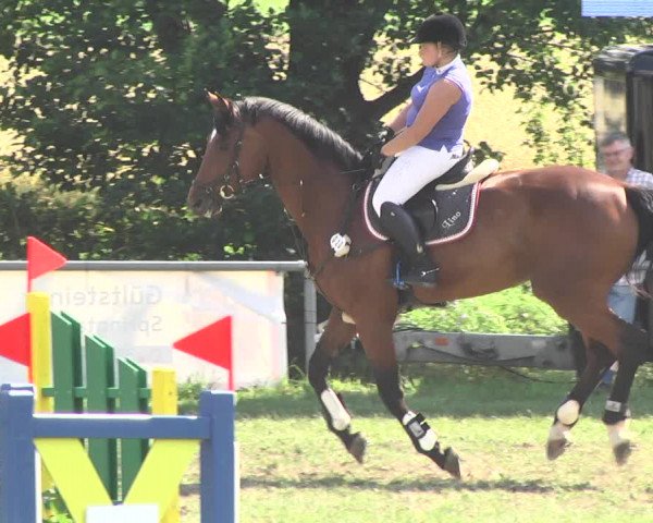 Reitturnier Herrenberg-Gültstein 2017