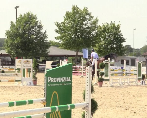 Reitturnier Münster-Roxel 2017
