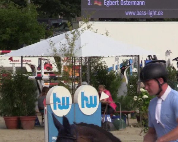 Reitturnier Haren 2017