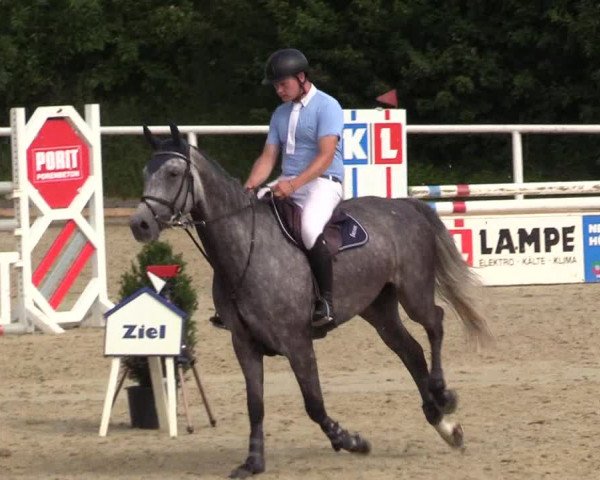 Reitturnier Haren 2017