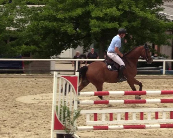 Reitturnier Haren 2017