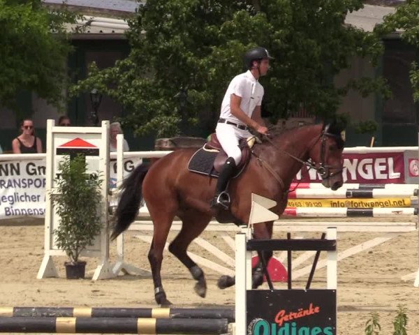 Reitturnier Haren 2017