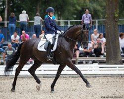 dressage horse Mist of Titanium (Oldenburg, 2012, from E.H. Millennium)