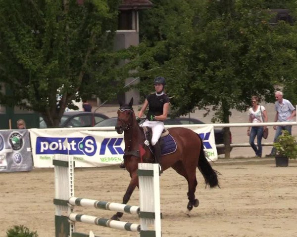 Reitturnier Haren 2017