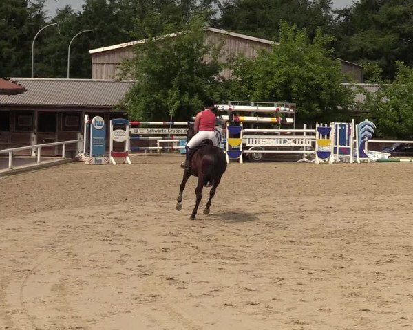Reitturnier Haren 2017
