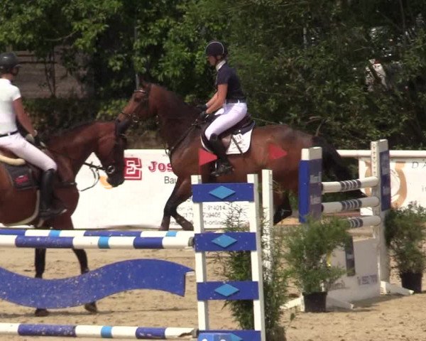Reitturnier Haren 2017