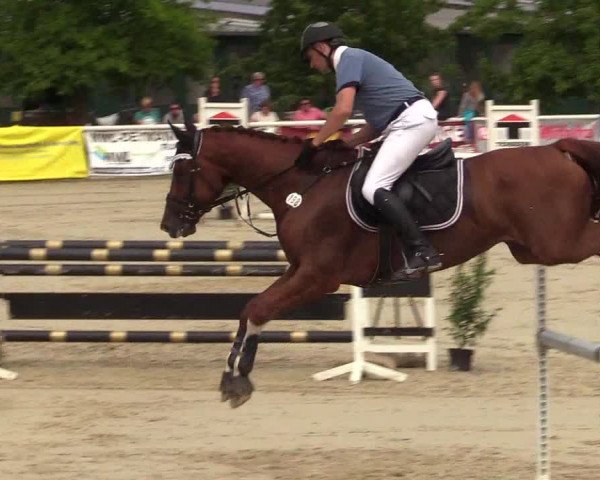 Reitturnier Haren 2017
