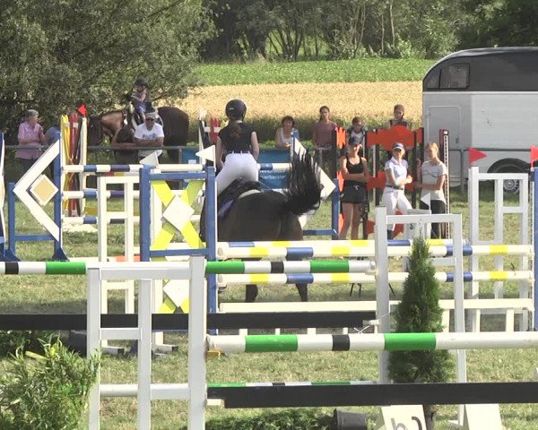 Reitturnier Herrenberg-Gültstein 2017