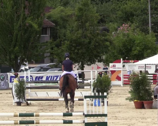 Reitturnier Haren 2017