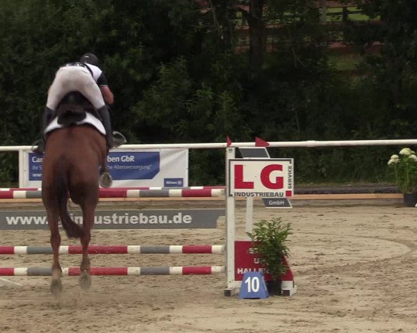 Reitturnier Haren 2017