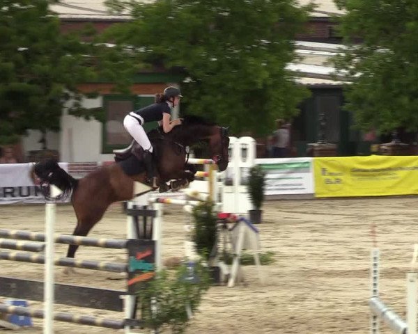Reitturnier Haren 2017