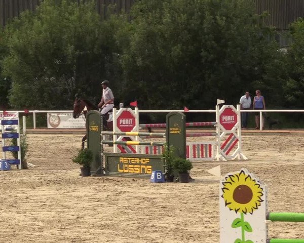Reitturnier Haren 2017