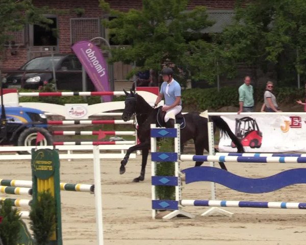 Reitturnier Haren 2017