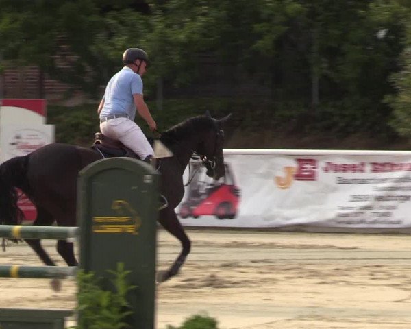 Reitturnier Haren 2017
