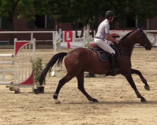 Reitturnier Haren 2017
