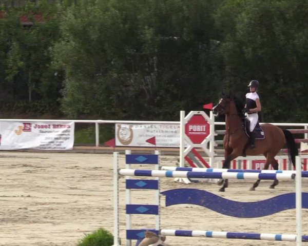Reitturnier Haren 2017