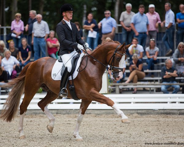 dressage horse Leo Loewenherz (Rhinelander, 2012, from Henglein's Licosto)