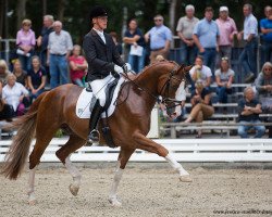 dressage horse Leo Loewenherz (Rhinelander, 2012, from Henglein's Licosto)