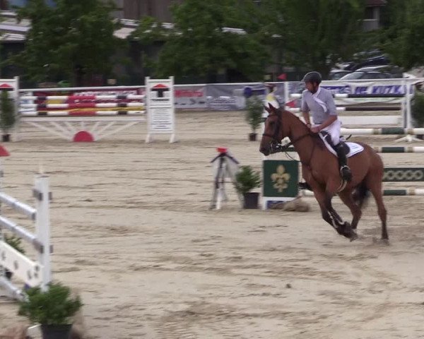 Reitturnier Haren 2017