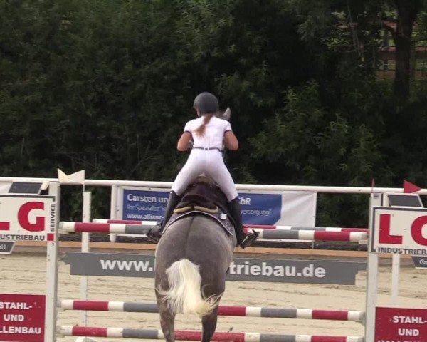 Reitturnier Haren 2017