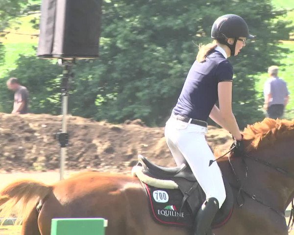 Reitturnier Herrenberg-Gültstein 2017
