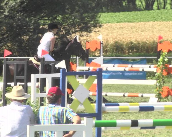 Reitturnier Herrenberg-Gültstein 2017