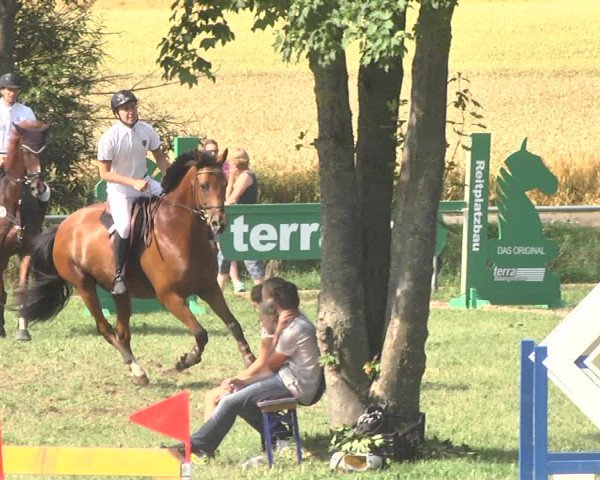Reitturnier Herrenberg-Gültstein 2017
