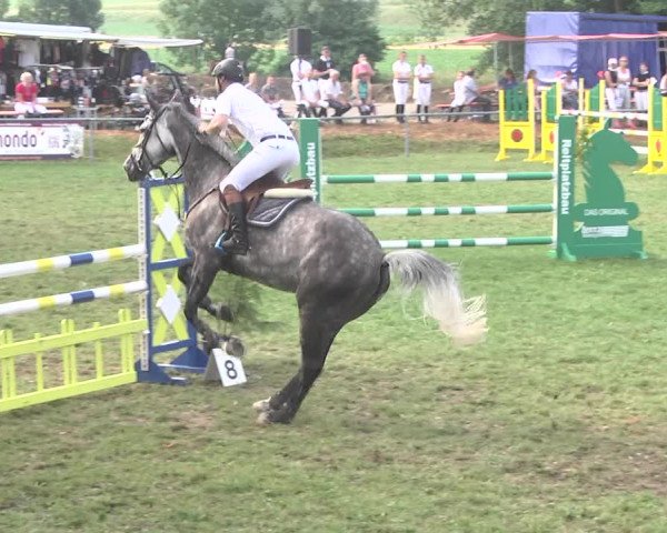 Reitturnier Herrenberg-Gültstein 2017