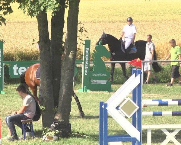Reitturnier Herrenberg-Gültstein 2017