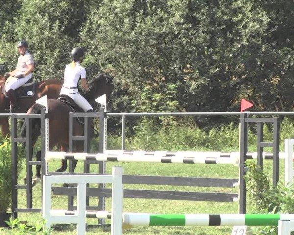 Reitturnier Herrenberg-Gültstein 2017