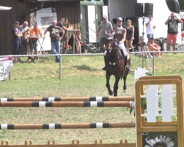 Reitturnier Herrenberg-Gültstein 2017