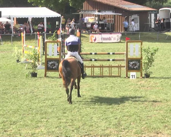 Reitturnier Herrenberg-Gültstein 2017
