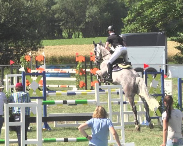 Reitturnier Herrenberg-Gültstein 2017