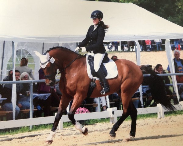 Springpferd Fly 86 (Westfale, 2004, von Fürst Piccolo)